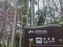 -柳侯公园