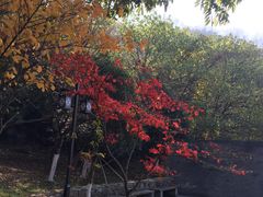 -幕燕滨江·长江观音景区