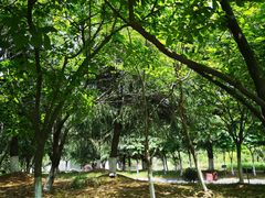-白塘生态植物园