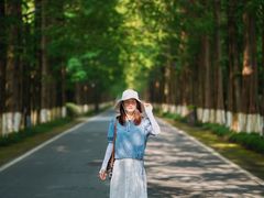 -黄海国家森林公园