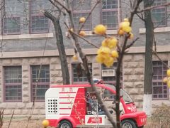 -山东大学(趵突泉校区)
