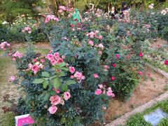 -人民公园(罗湖区)