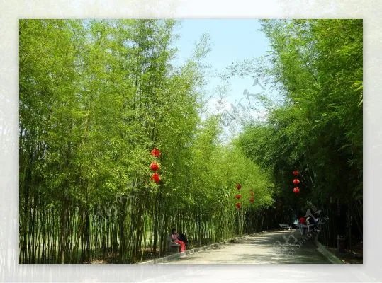 广东肇庆广宁县：竹海大观、宝锭山景区、螺壳山，三大景点等你来