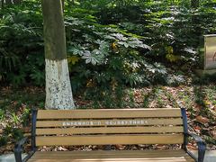 -苏州河梦清园环保主题公园