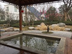 -思念果岭悦温泉