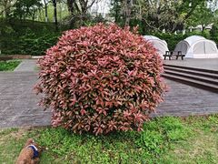 -钟山体育运动公园