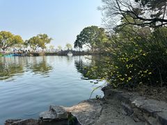 -无锡蠡湖国家湿地公园-蠡园