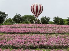 -歌斐颂巧克力小镇
