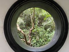 -虎跑公园