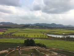 -光明小镇欢乐田园