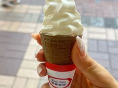 -富豪雪糕车流动点(尖沙咀)