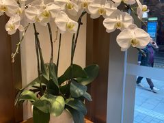 -Peet's Coffee皮爷咖啡(豫园店)