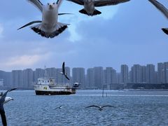-悦海公园