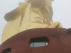 -大金鹰园