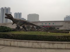 -陕西自然博物馆