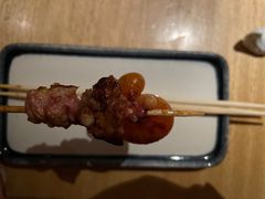 -鳥焱商店(王府大街店)