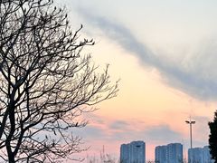 -辽宁大学(崇山校区)
