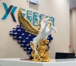 前台-鑫元辰医疗美容整形