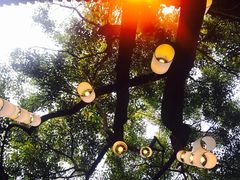 -醉云喃