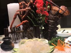 刺身澳龙-宝燕壹号(徐汇店)