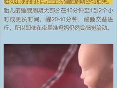 -大班家政月嫂育儿嫂(总部店)