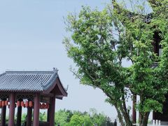-东庐山观音寺