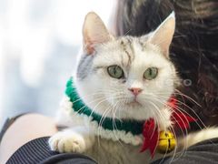 -怪兽屋·羊驼·猫咖·狗咖(俊华广场店)