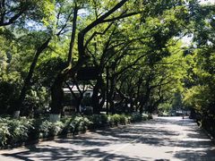 -姐妹面馆(水澄路店)