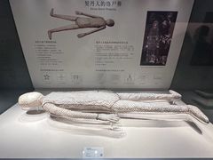 -辽宁省博物馆