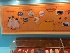 -海合安武汉极地海洋公园