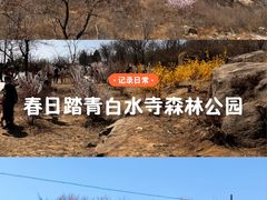 -白水寺森林公园