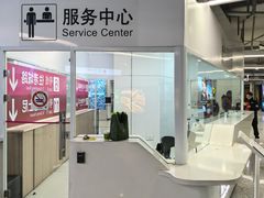-东方体育中心(地铁站)