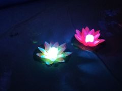 -金宝贝国际早教中心(万象城中心)