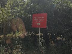-枫露马术学院(藏书校区)