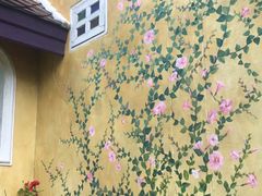 -黄色小屋