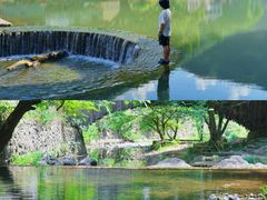 -鹿亭中村