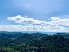 -武陵山森林公园