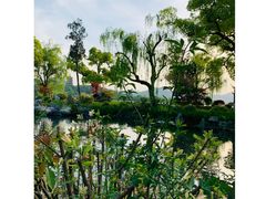 -杭州西湖柳莺里酒店·闻莺厅