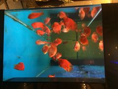 世纪银河假日酒店-鑫隆温泉酒店