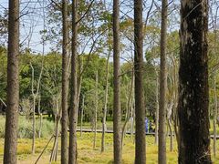 -嘉北郊野公园