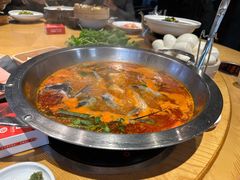 -老凯俚酸汤鱼(多彩城店)