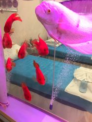 -痘庄科学祛痘国际连锁机构