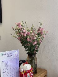 -薇薇安花系SPA