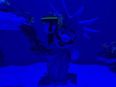 -大连圣亚海洋世界