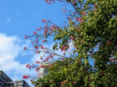 -赛格电子市场(华强北路店)