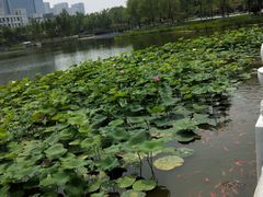 -西海子公园