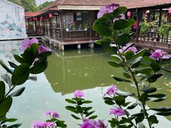 -菜根香土菜馆(文昌东路店)