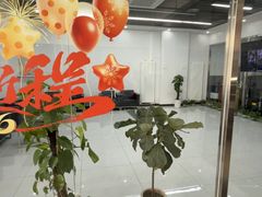 -迪师宝马奔驰专修·维修保养