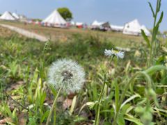 -梅园婚恋·婚姻介绍