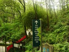 -南山植物园